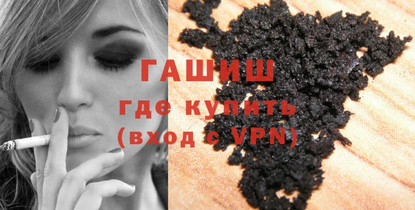 индика Каменногорск