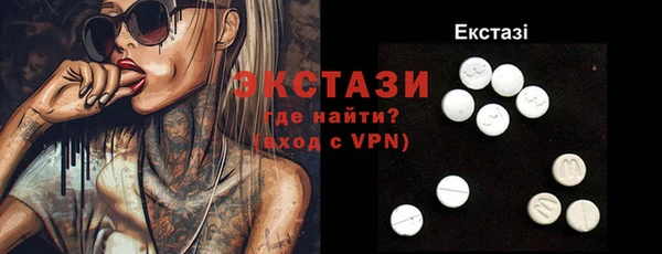 индика Каменногорск
