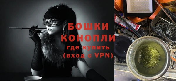 индика Каменногорск