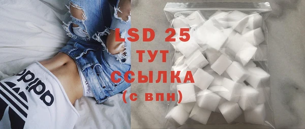 индика Каменногорск
