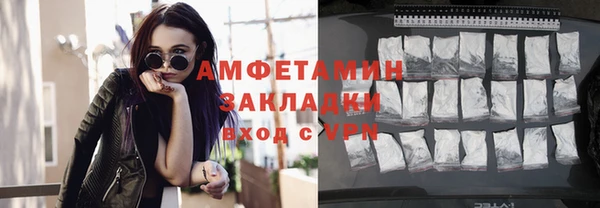 индика Каменногорск