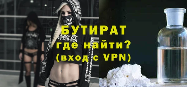 индика Каменногорск