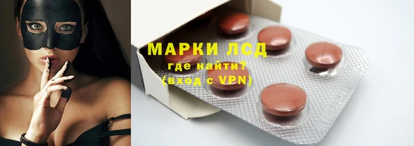 индика Каменногорск