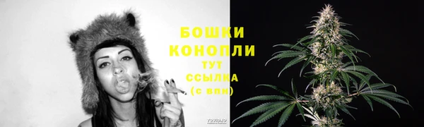 шишки Каменск-Шахтинский