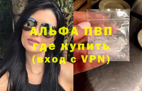 индика Каменногорск