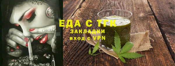 индика Каменногорск