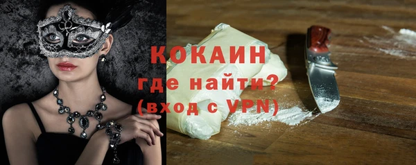 индика Каменногорск