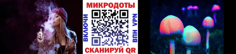 Псилоцибиновые грибы Psilocybine cubensis  Купить  Волгореченск 
